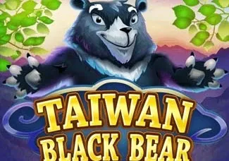 Taiwan Black Bear